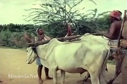 Enga Ooru Kavalkaran Sample (320x240).mp4