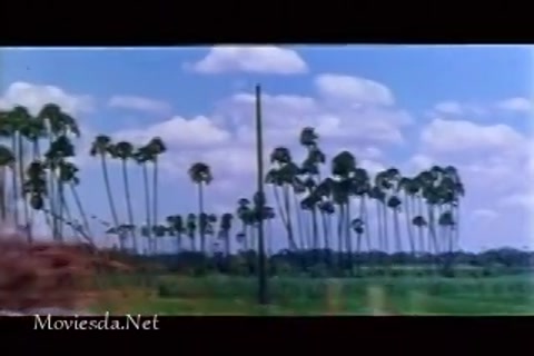 Katta Pachayathu Part-1.mp4