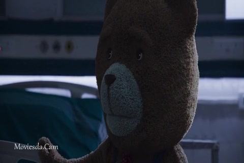 Teddy 2021 Sample.mp4