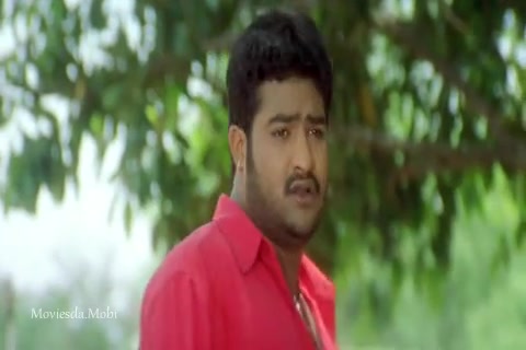 Simhadri 2021 Sample.mp4